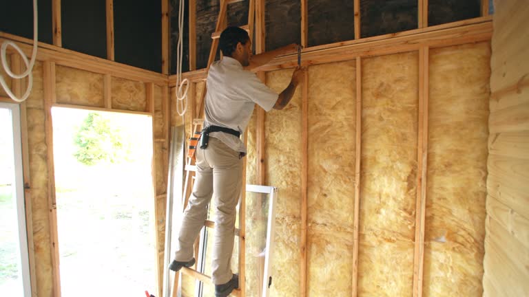 Best Spray Foam Insulation  in Claxton, GA